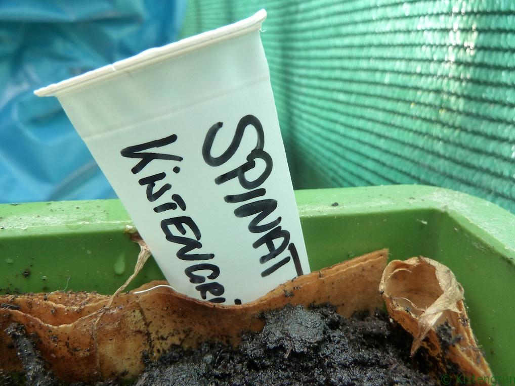 Pflanzenstecker Spinat