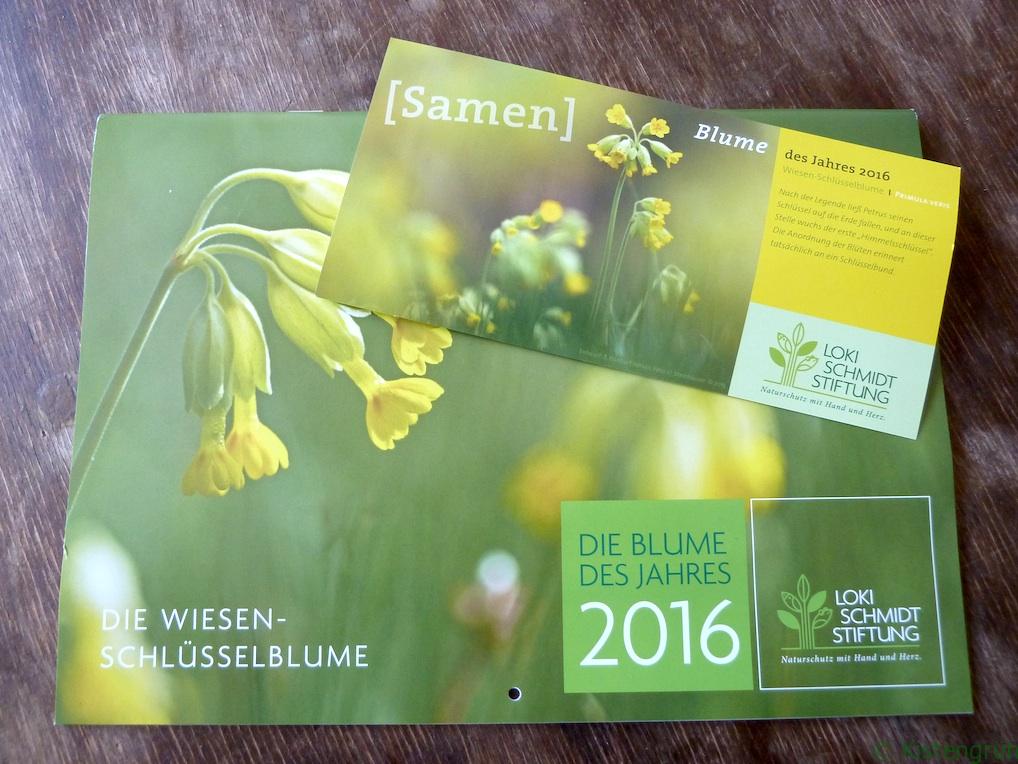 Kalender und Samen der Wiesen-Schlüsselblume, Blume des Jahres der Loki-Schmidt-Stiftung