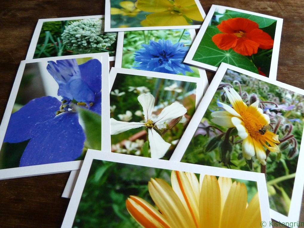 selbst gebastelte Karten mit bunten Blumen-Fotos