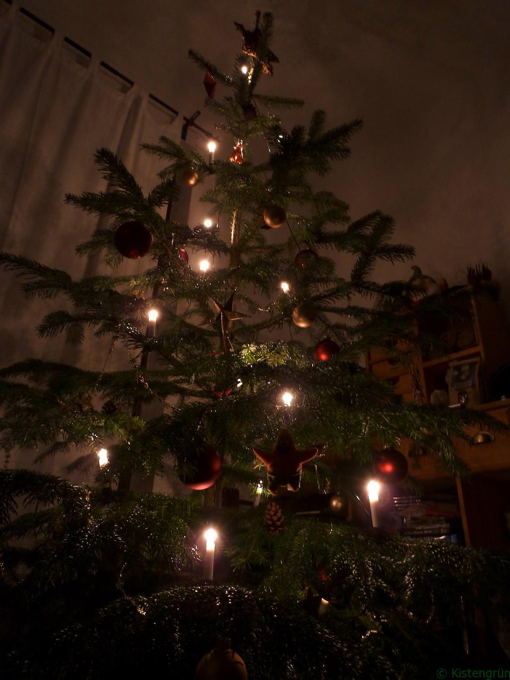 Weihnachten: Geschmückter Weihnachtsbaum im Kerzenlicht