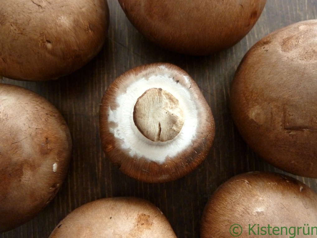 Steinchampignons auf einem Tisch